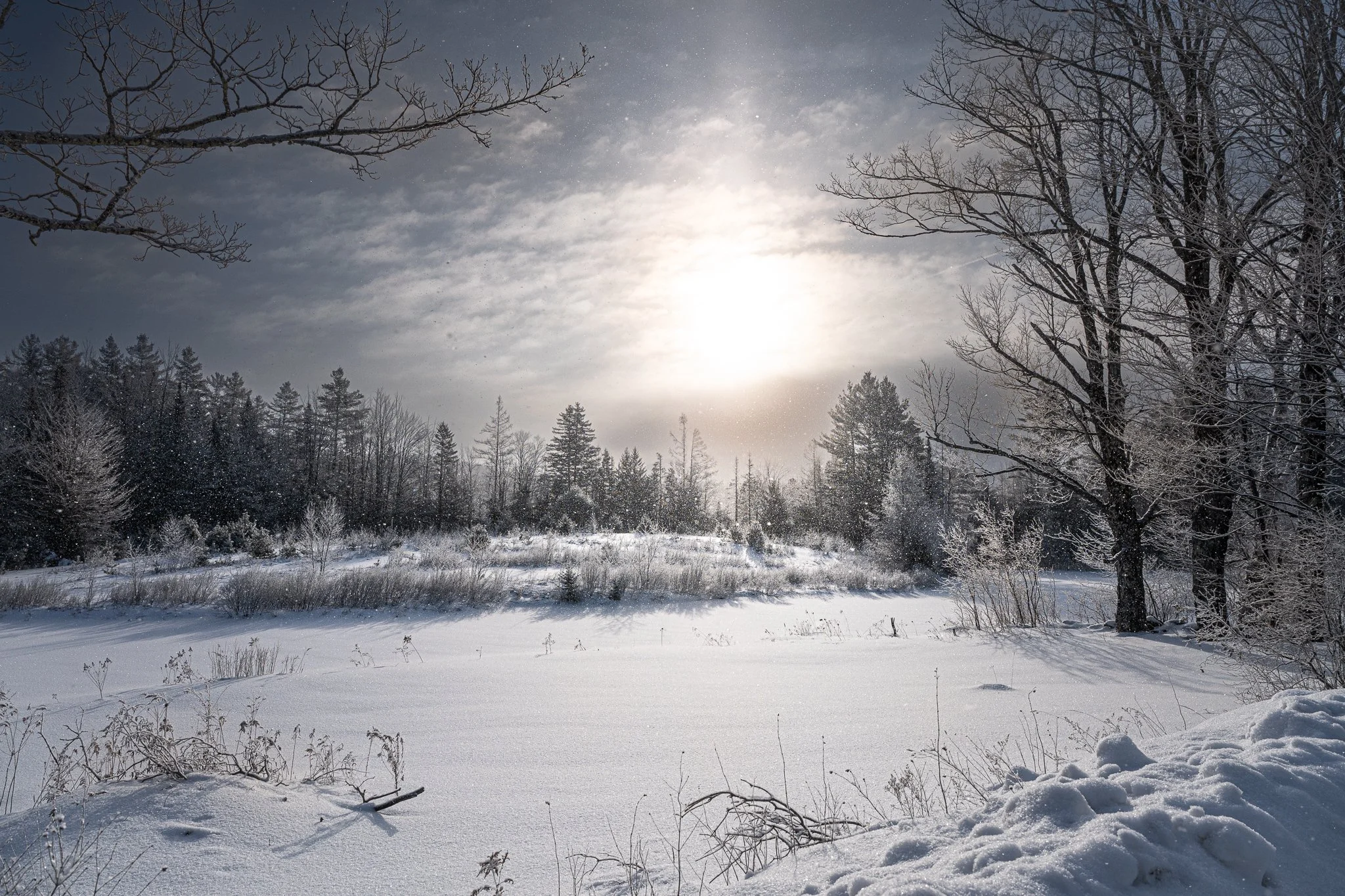 Snow-covered field with trees and a cloudy sky, sunlight shining through, and snow falling.