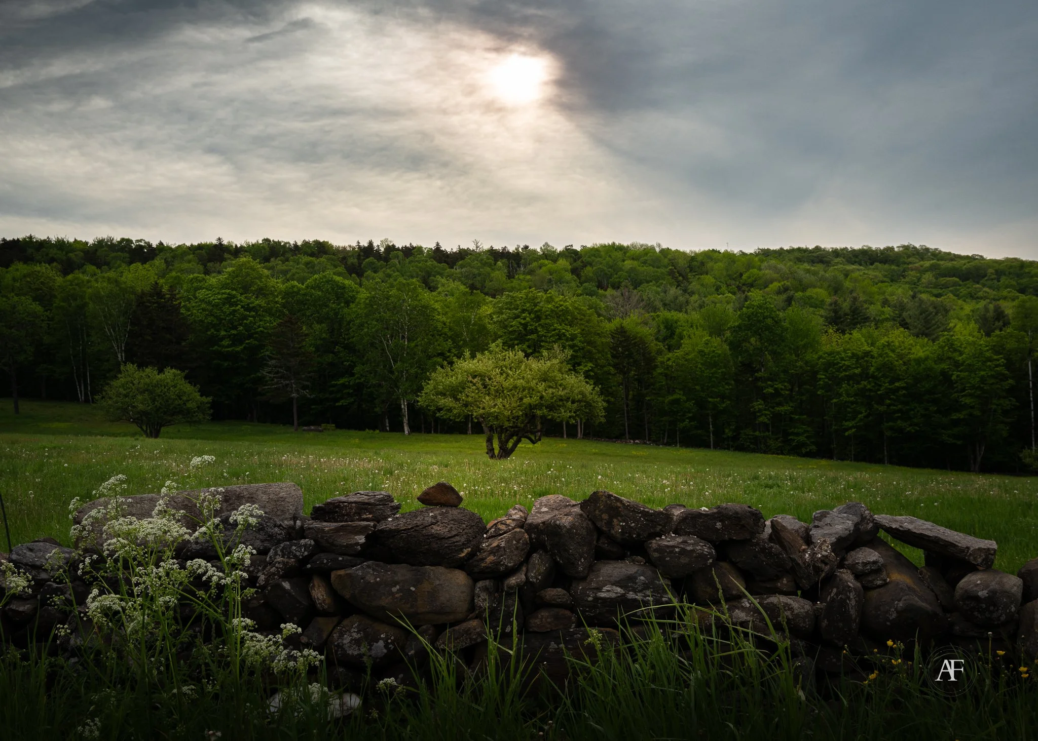 A stone wall in the foreground, a grassy field with scattered small trees, a dense forested hillside, and a cloudy sky with sun peeking through.