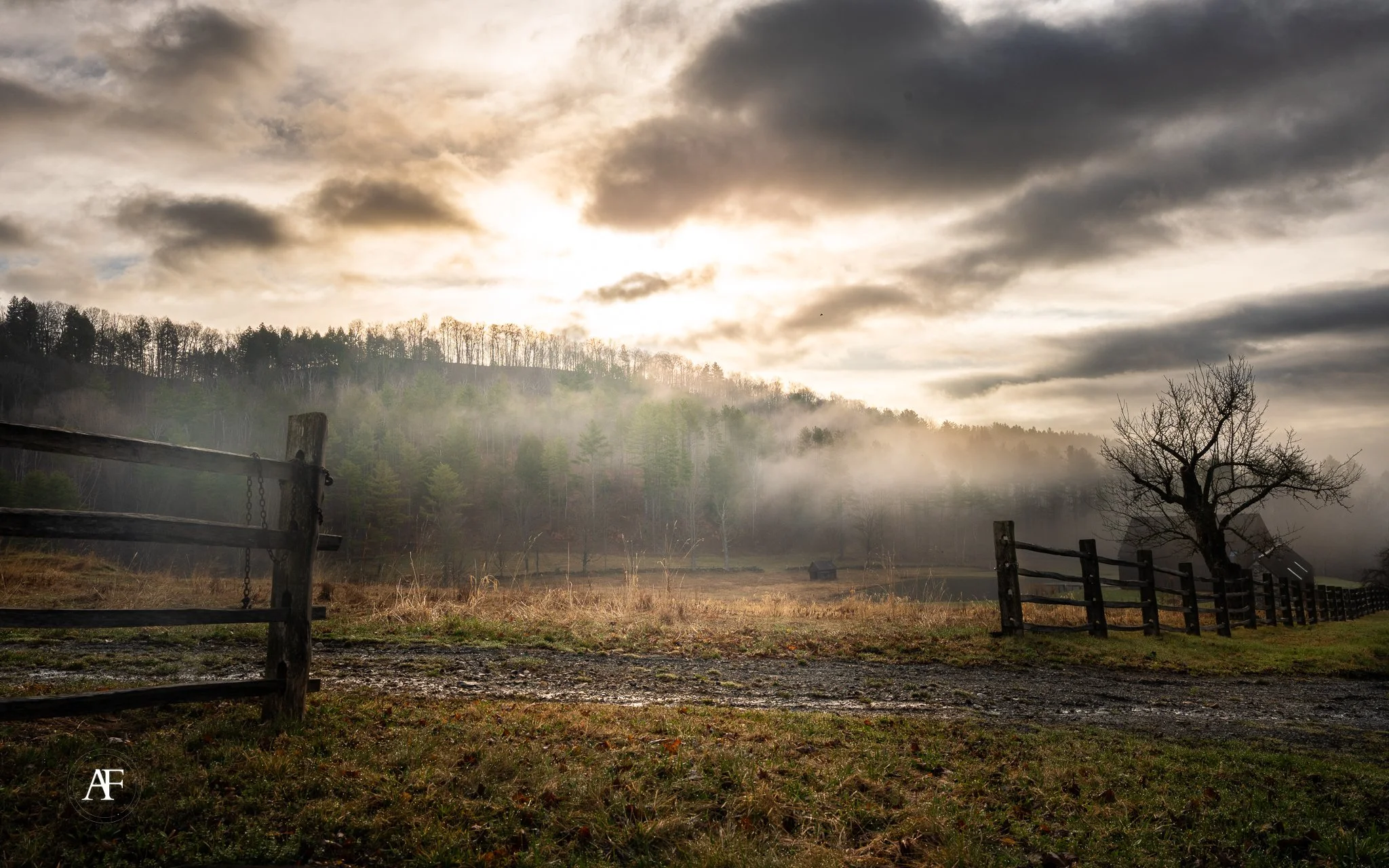 A rural landscape with a wooden fence, fog, trees, and dark, cloudy sky