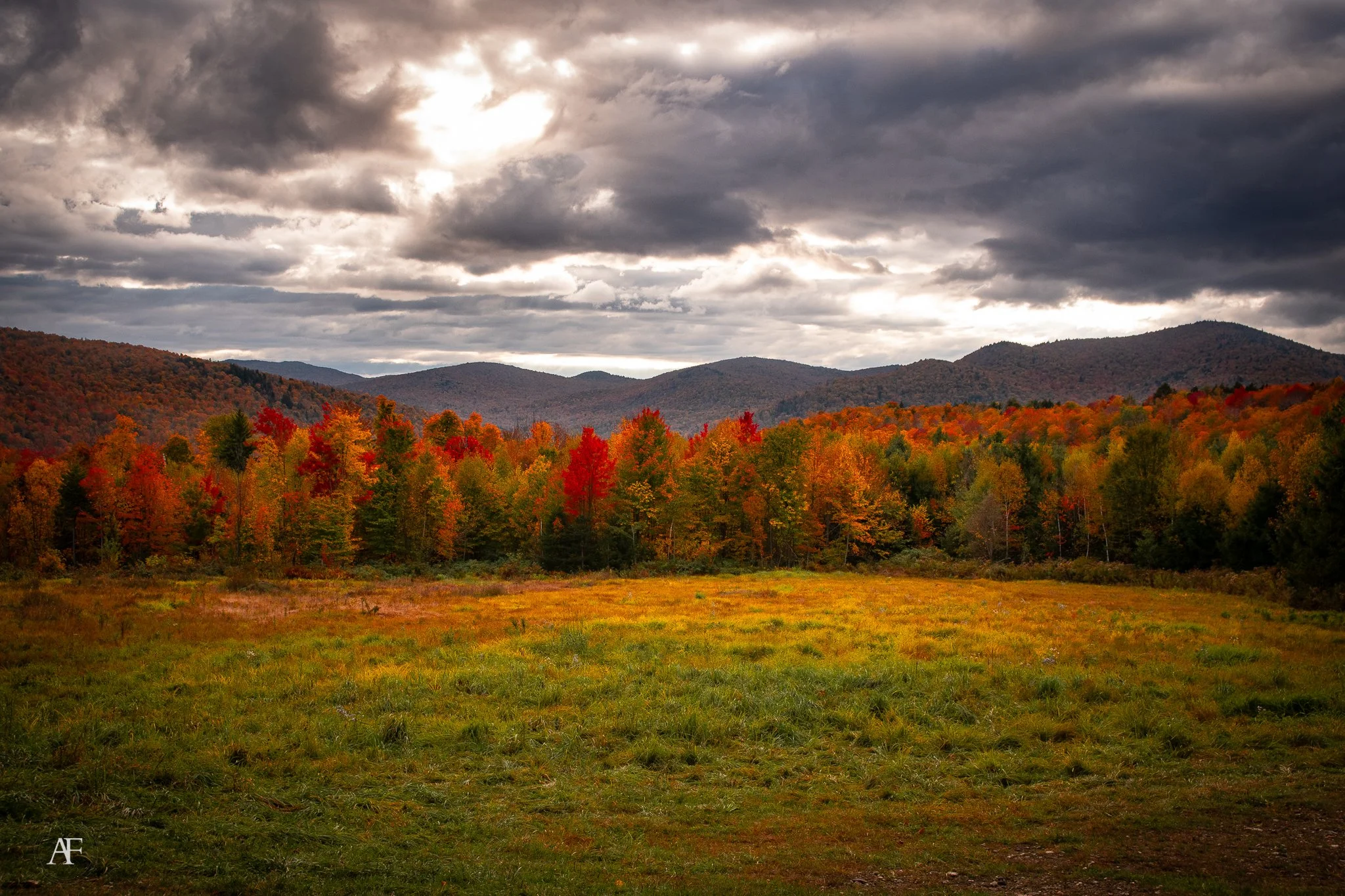 A scenic landscape of rugged mountains and a lush forest with fall foliage under a cloudy sky.