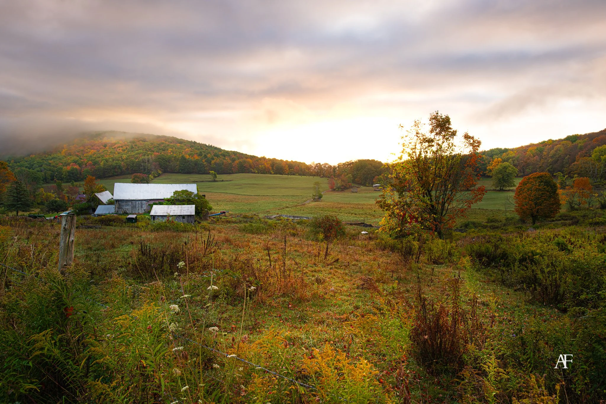 A rural landscape with rolling green hills, barn-like structures, trees with autumn foliage, and a cloudy sky with the sun setting.