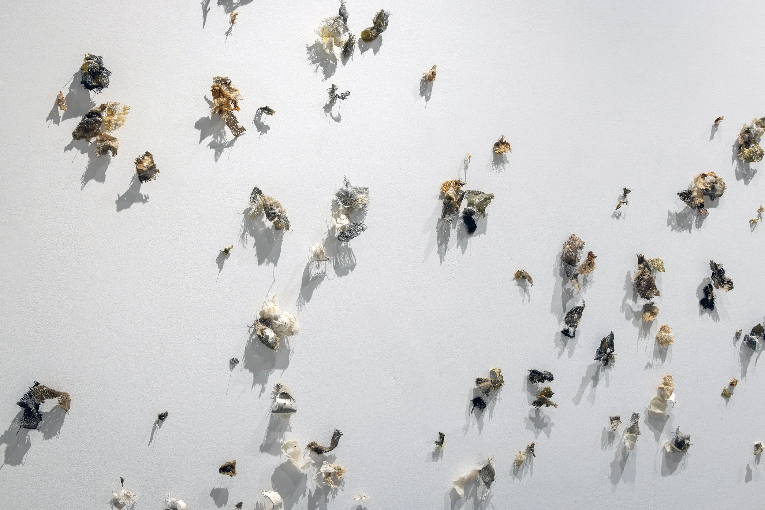 An art installation with numerous crumpled and torn pieces of fabric or paper attached to a white wall, casting shadows beneath them.