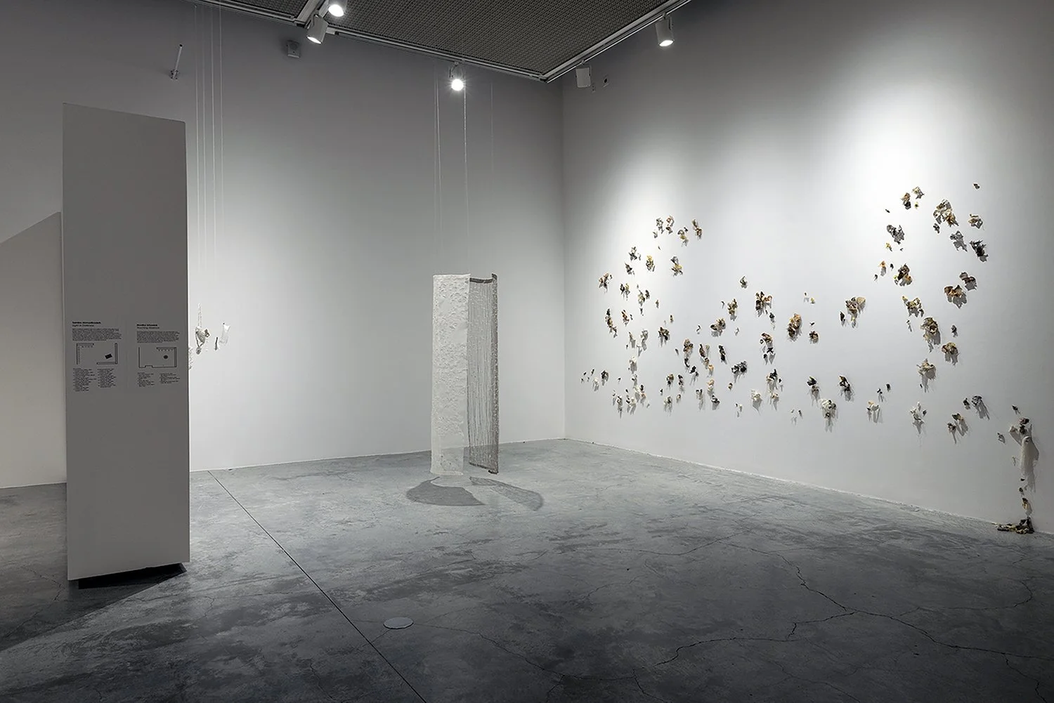 Contemporary art gallery featuring a wall installation of butterflies, a hanging sculpture, and a textured vertical piece, with minimalistic white walls and a concrete floor.