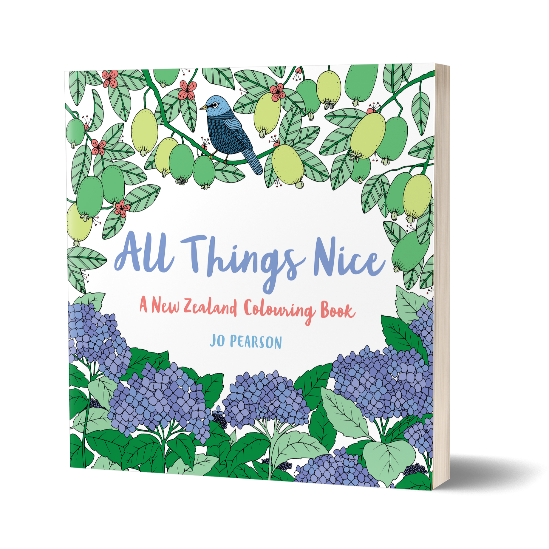 AllThingsNice_Packshot.png