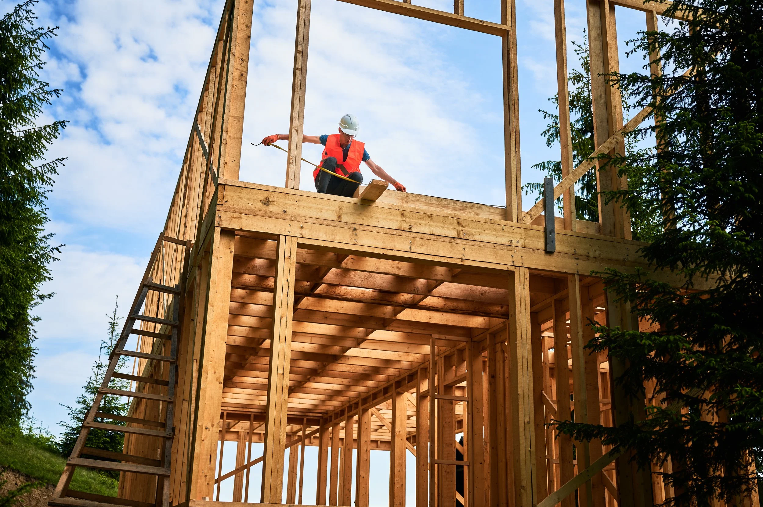 Frame inspection