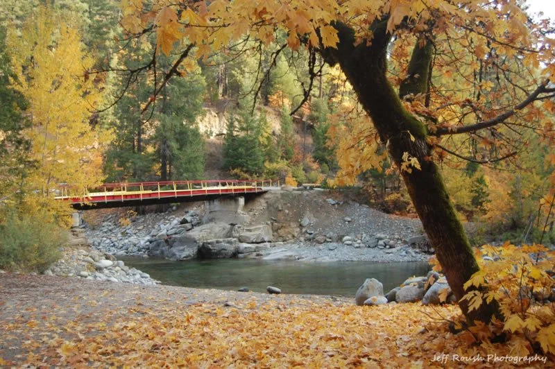 A scenic autumn landscape with a river, surrounded by trees with yellow and orange leaves. A small bridge crosses the river, and a large tree leans over the water in the foreground.