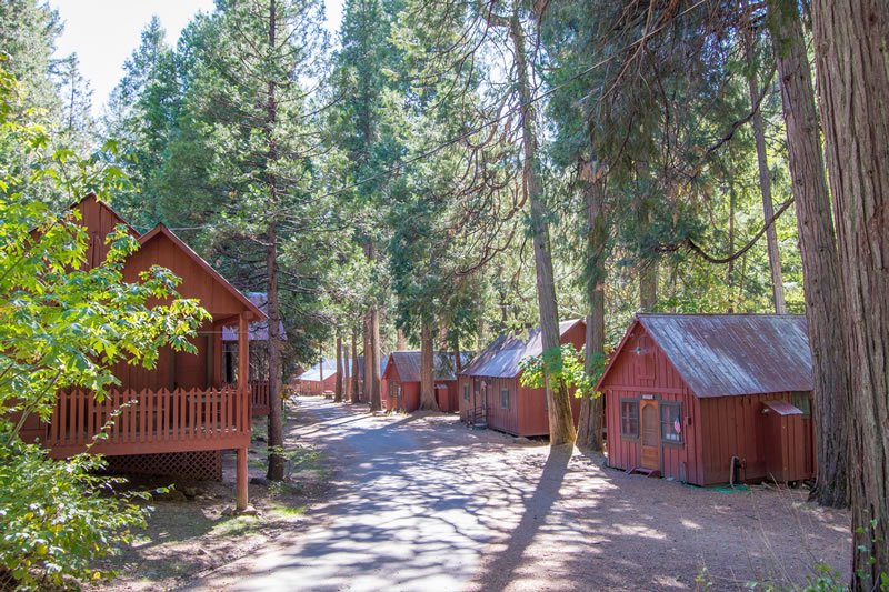 A row of small red cabins surrounded by tall trees in a wooded area, with a dirt path running through the scene on a sunny day.