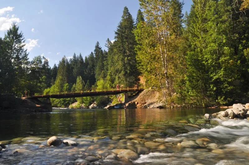 A river flowing through a forested area with a wooden bridge crossing over it, and trees on both sides of the river.