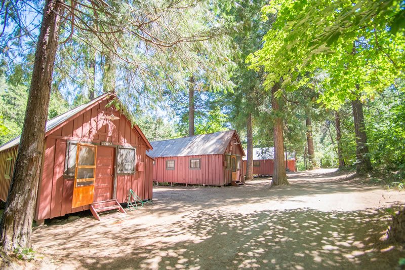 Three pink wooden cabins surrounded by tall trees and a dirt ground in a forest setting.