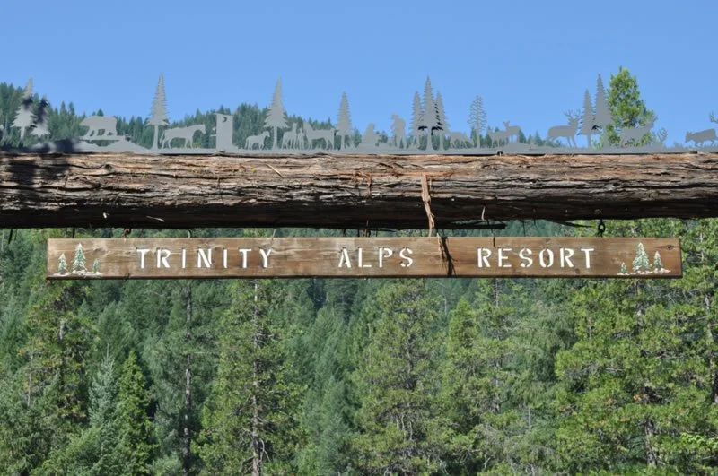 Wooden sign reading "Trinity Alps Resort" with trees painted and in relief, hanging above a forested area with pine trees and a clear blue sky