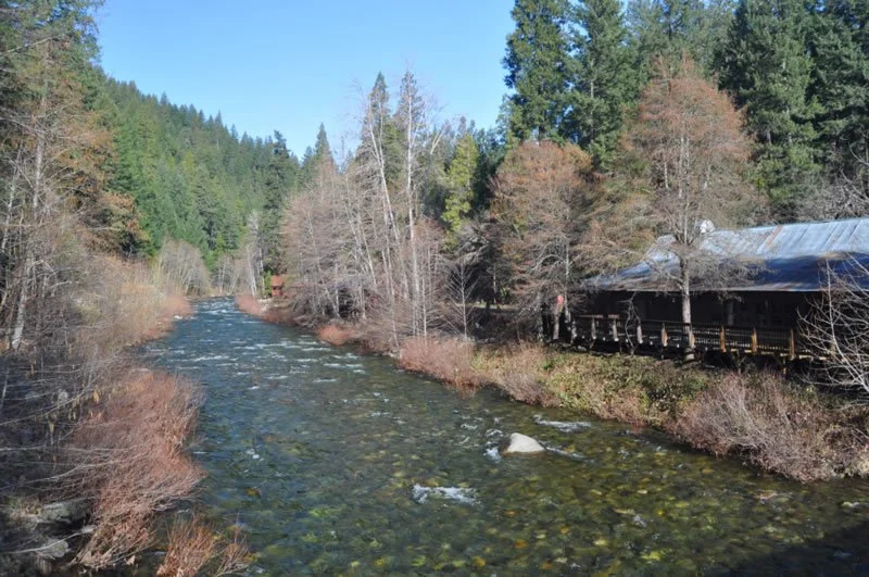 A river flowing through a forested landscape with evergreen and deciduous trees, some without leaves, and a building with a metal roof on the right side.