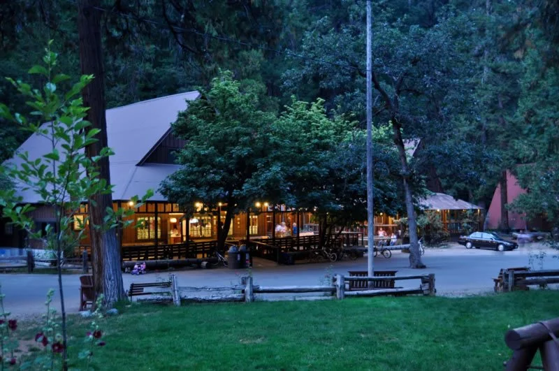 A cozy outdoor dining area or restaurant surrounded by tall trees, with lights on inside, and a parking lot with cars in the background, seen during the evening.