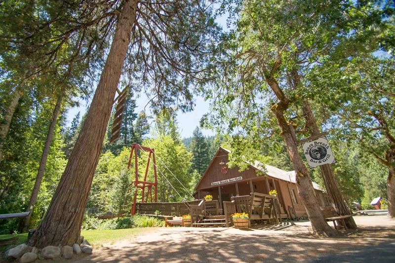 A rustic wooden building labeled 'Enchanted Forest Bar & Grill' surrounded by green trees and outdoor seating, with a swing set structure nearby under a clear blue sky.