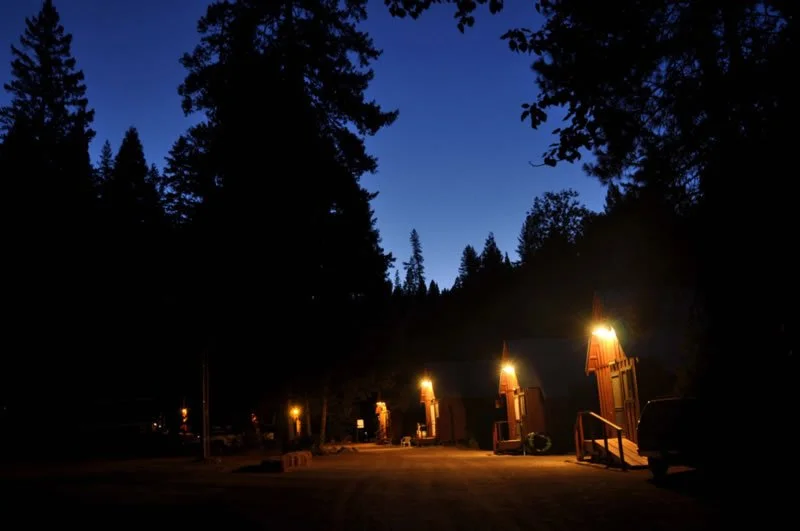 Nighttime scene of small wooden cabins illuminated by outdoor lights, surrounded by tall trees with a dark blue sky overhead.
