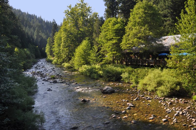 A river flowing through a lush green forest with a covered wooden structure on the right side, possibly a riverside restaurant or cabin.