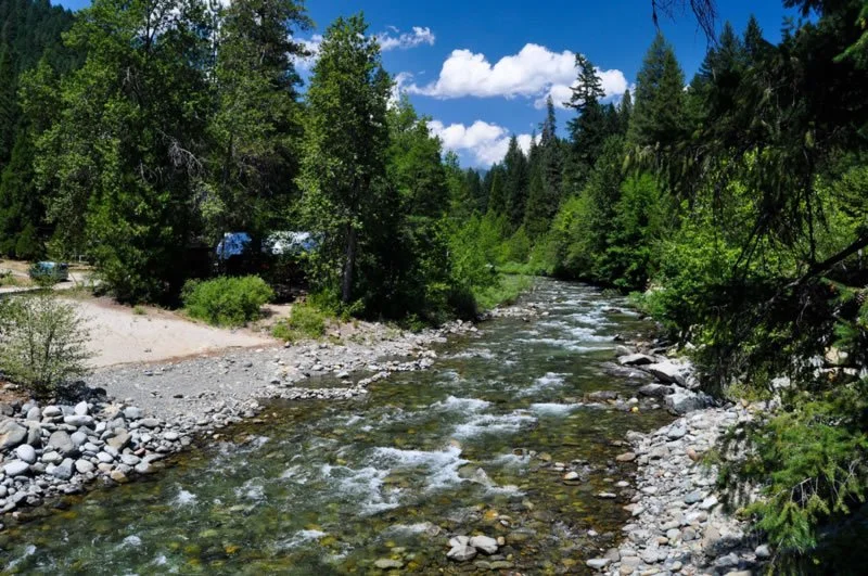 A flowing river in a forested area with tall trees, rocky riverbanks, and a partly cloudy sky.