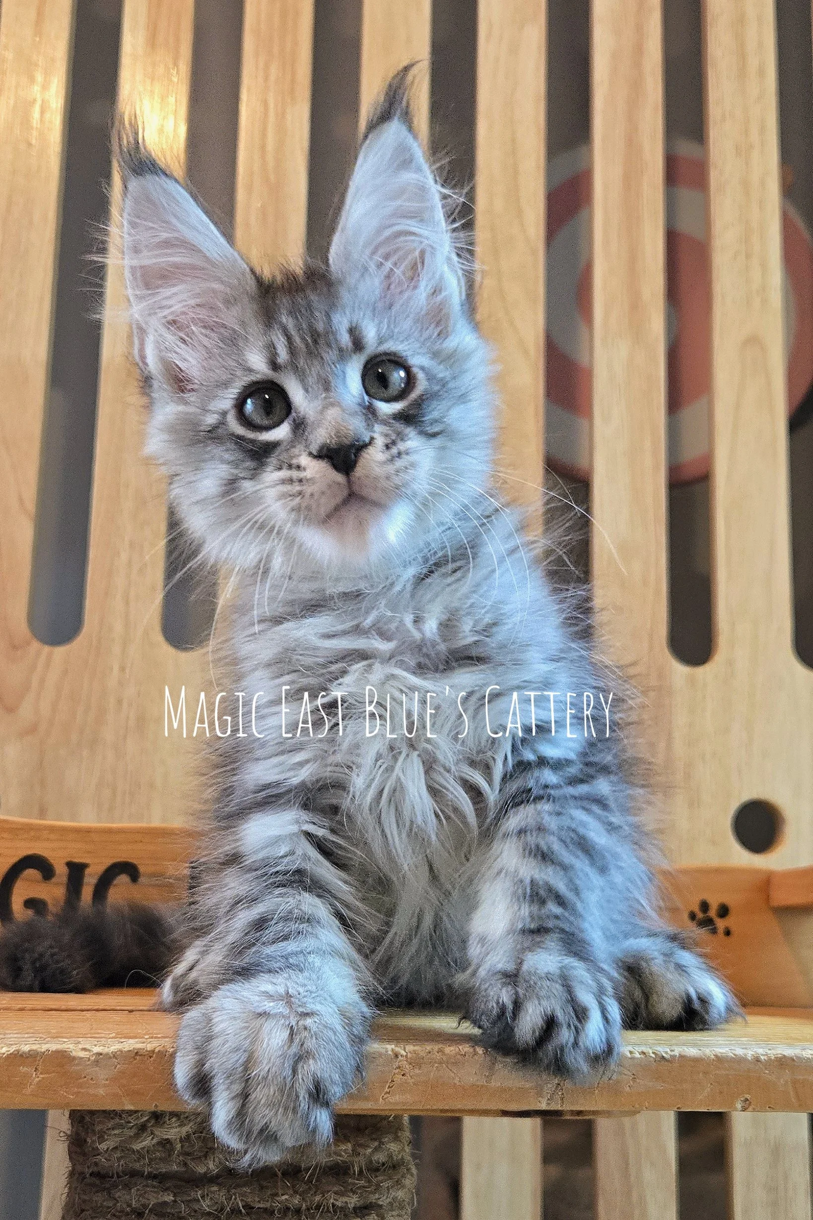 Vital Tigger (7).jpg