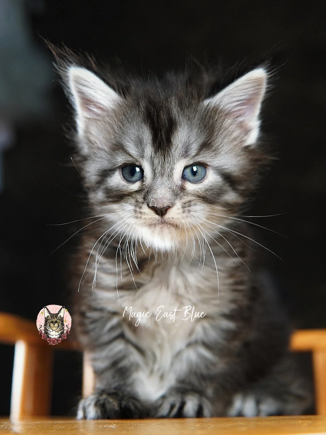 bella (14).jpg