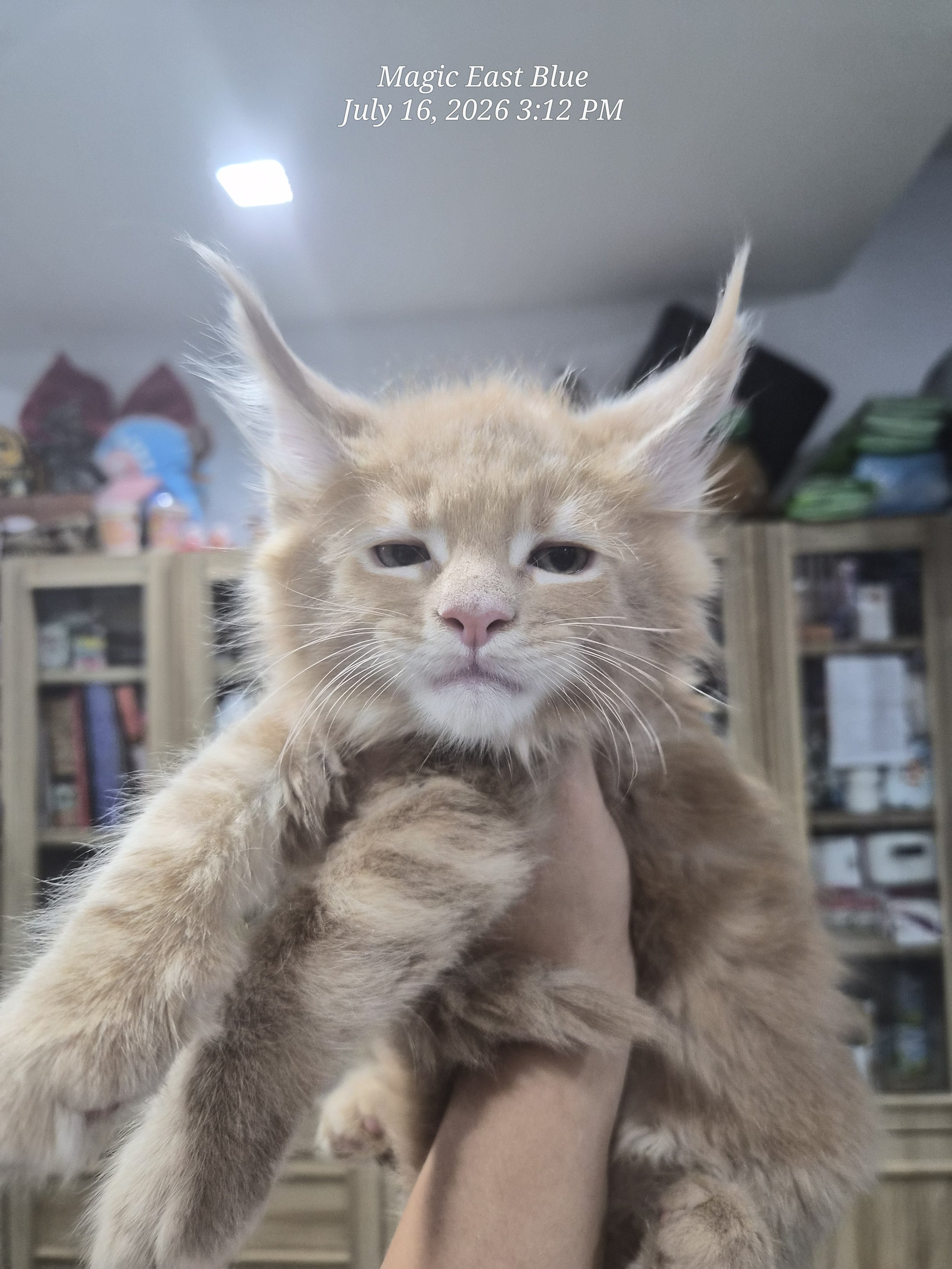 Cream Boy [Zuri X Mellow] 19 May 2026 (7).jpg