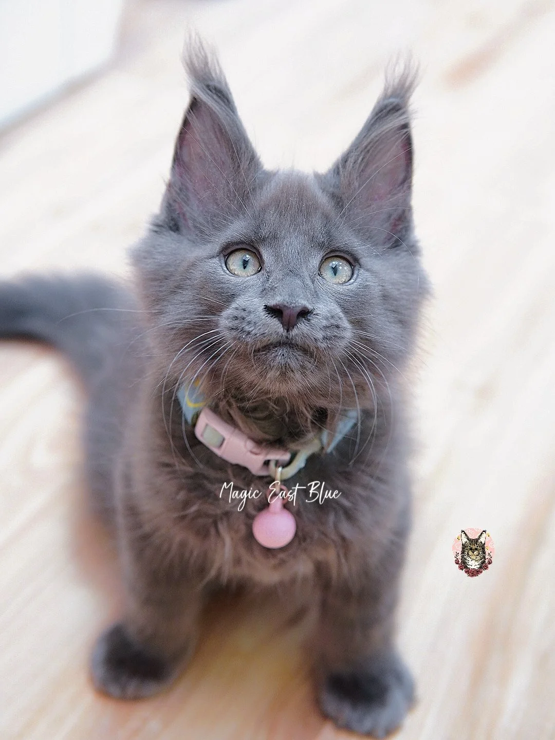 babyblue (31).jpg