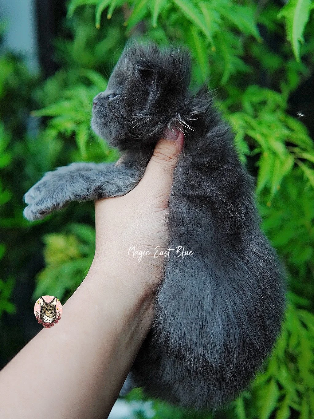 babyblue (3).jpg