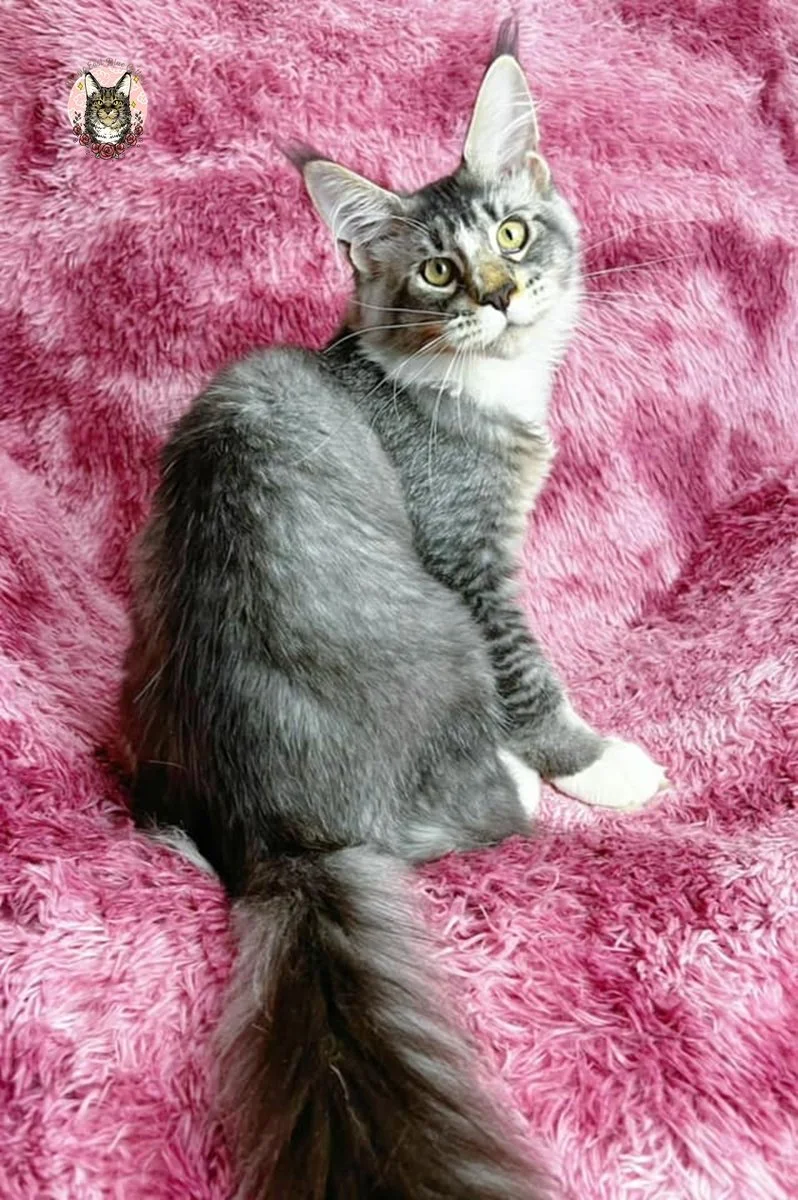 hagrid (17).jpg