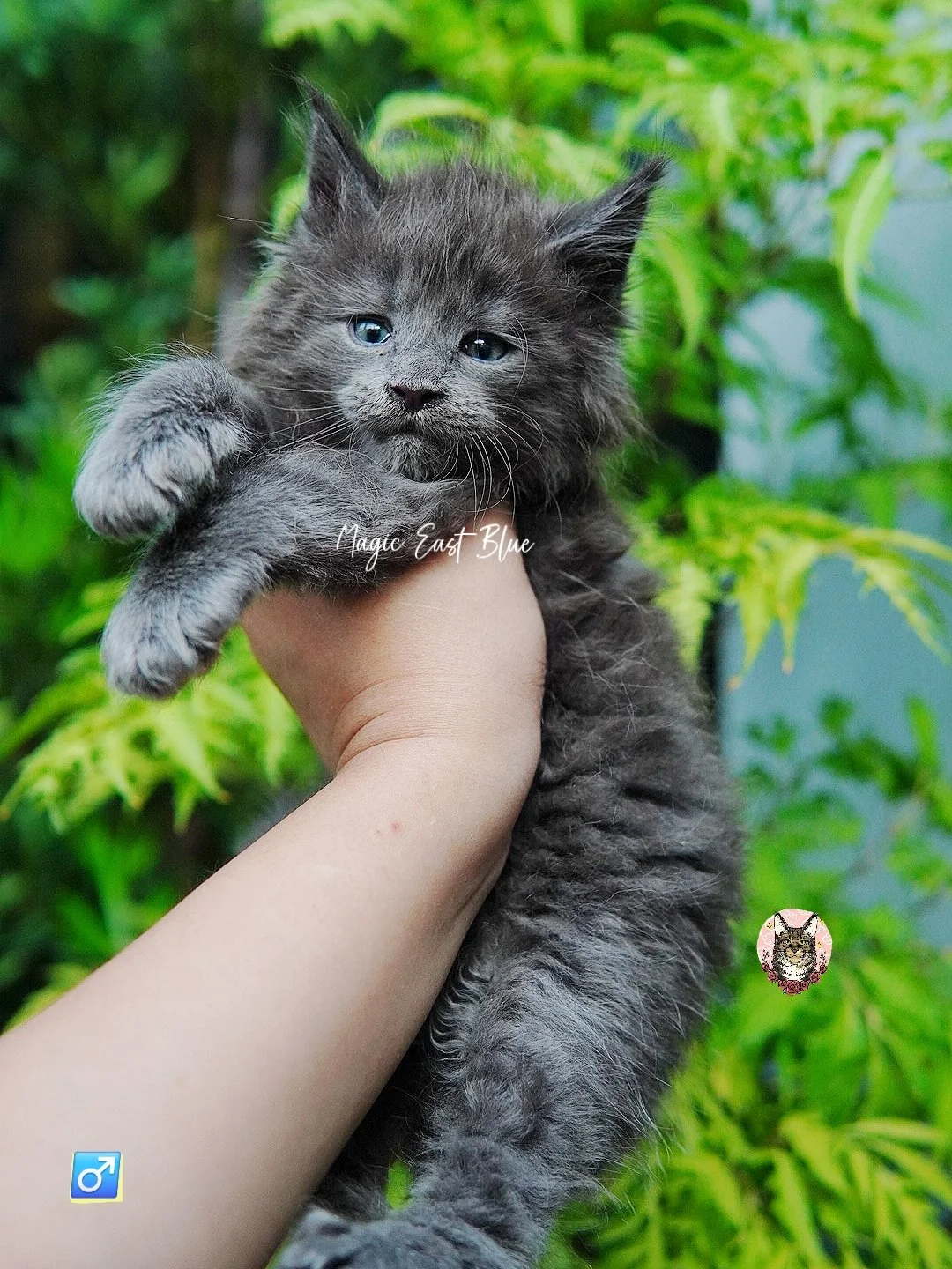 babyblue (6).jpg