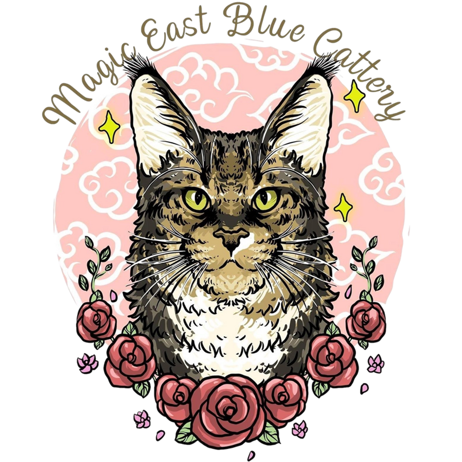 Magic East Blue's Cattery