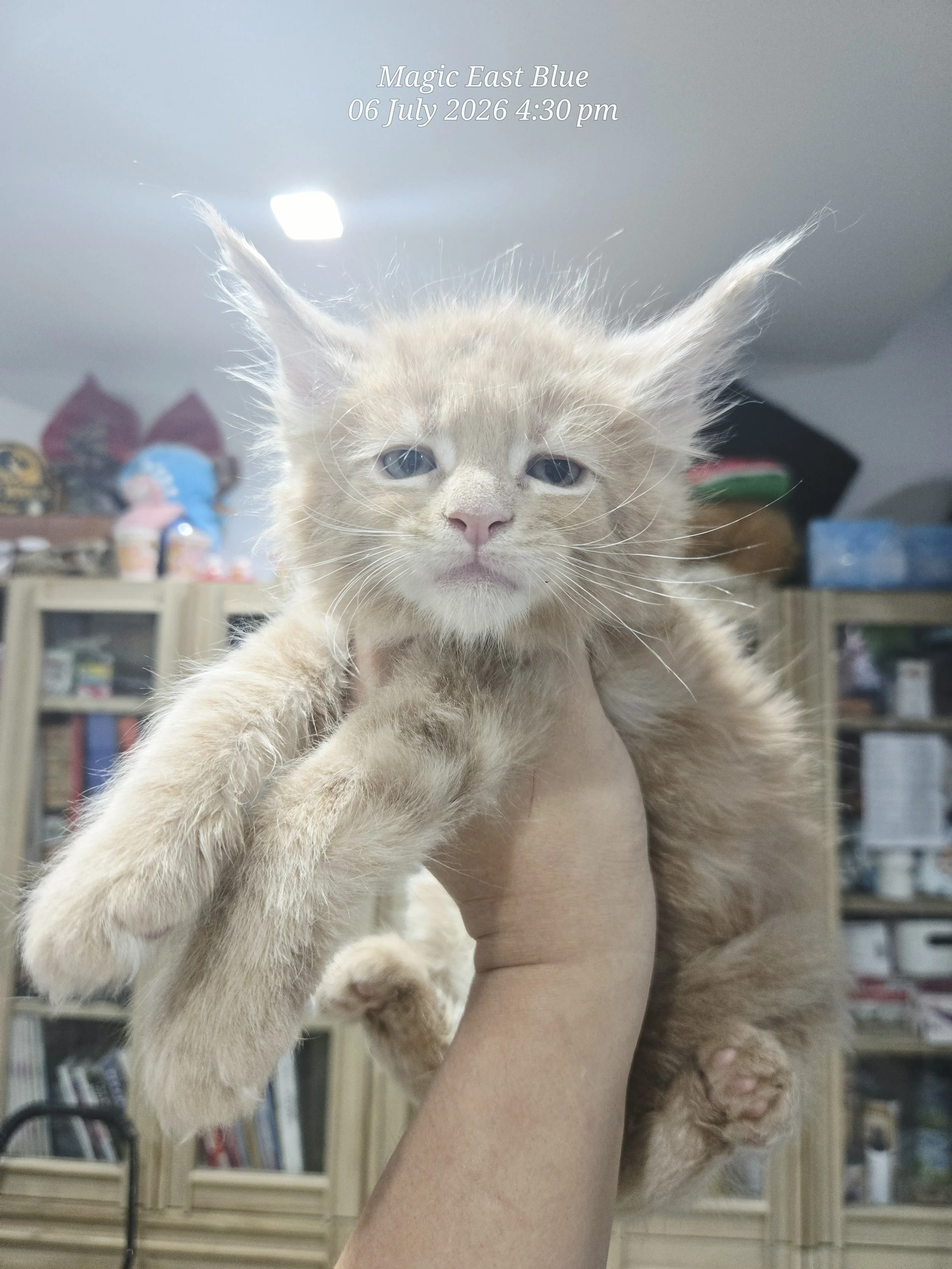 Cream Boy [Zuri X Mellow] 19 May 2026 (4).jpg