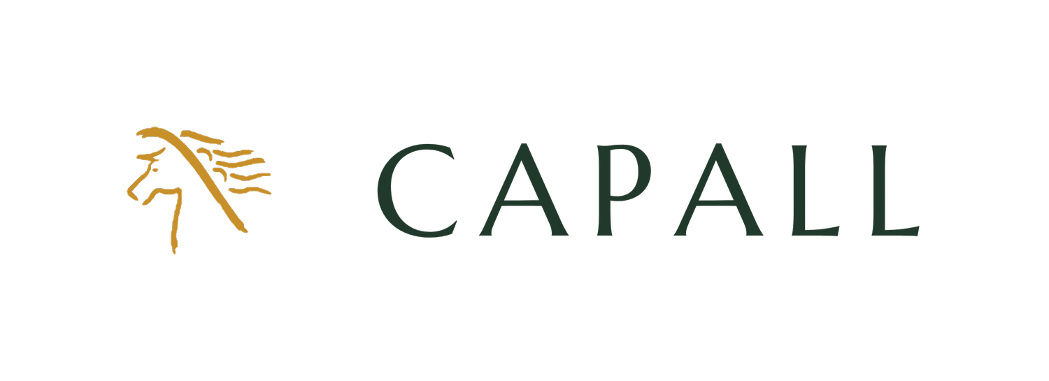 Capall | Leadership development for values-led women