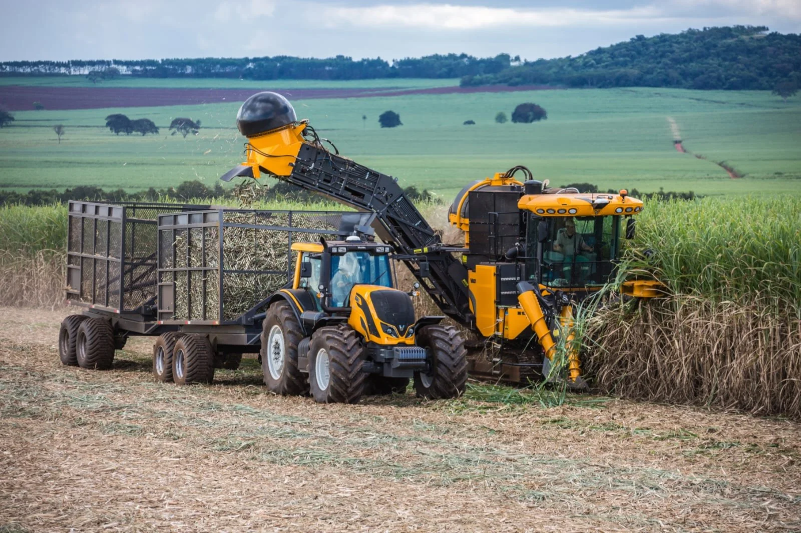 A large yellow harvesting machine working in a field of sugarcane, with a Valtra with a trailer attached, and open green landscapes in the background.