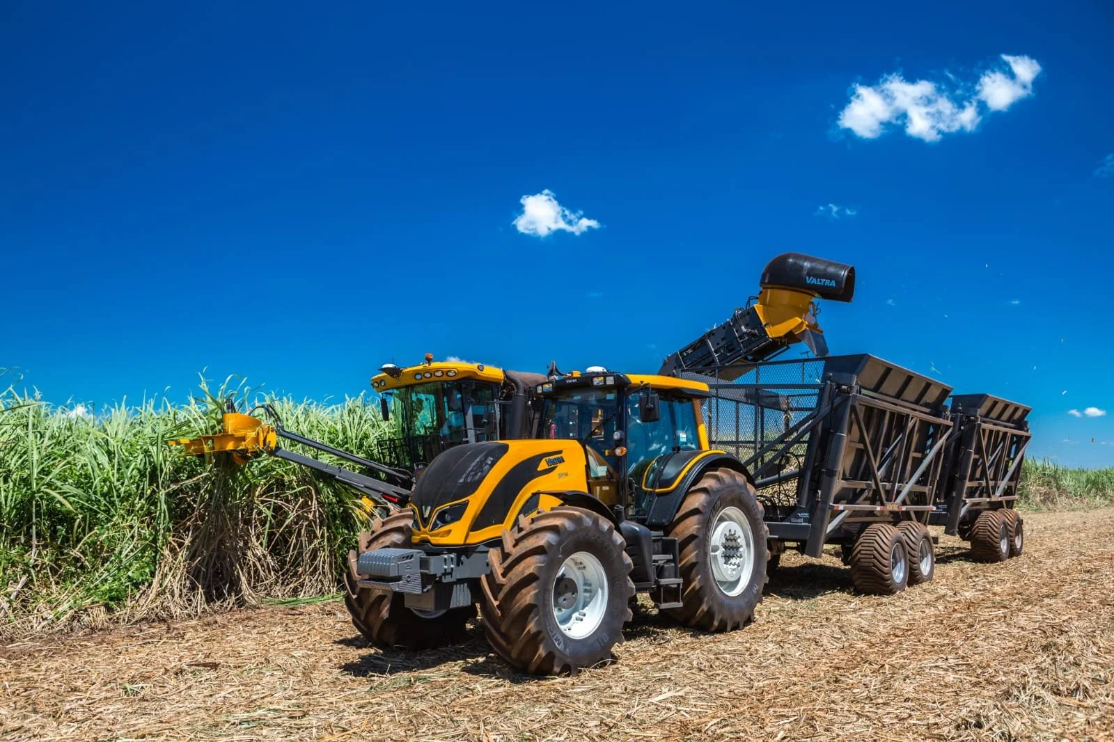 A yellow and black Valtra harvesting sugarcane in a field under a clear blue sky.