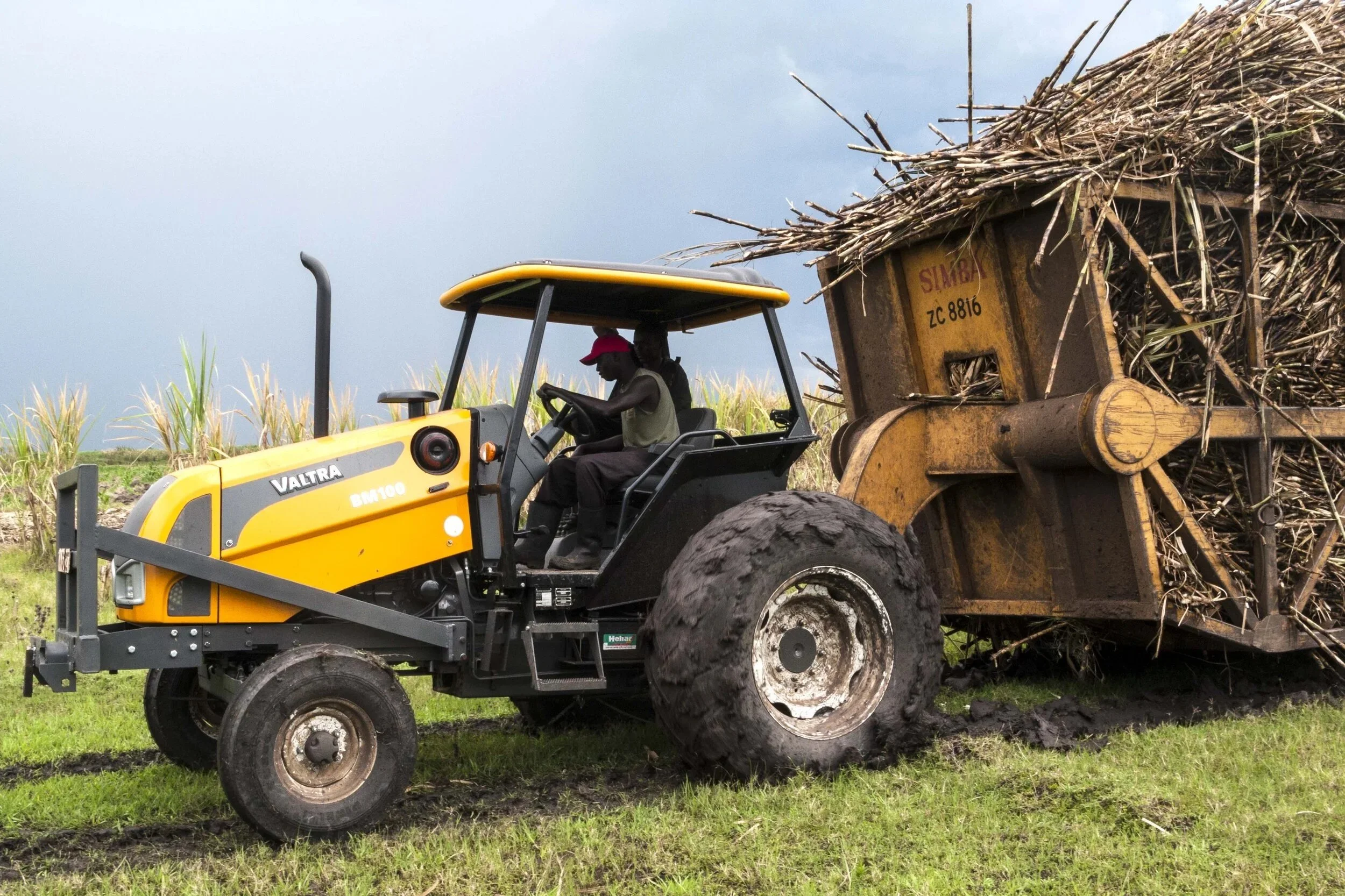 A yellow Valtra pulling a large trailer of sugarcane in a field with cloudy sky overhead.