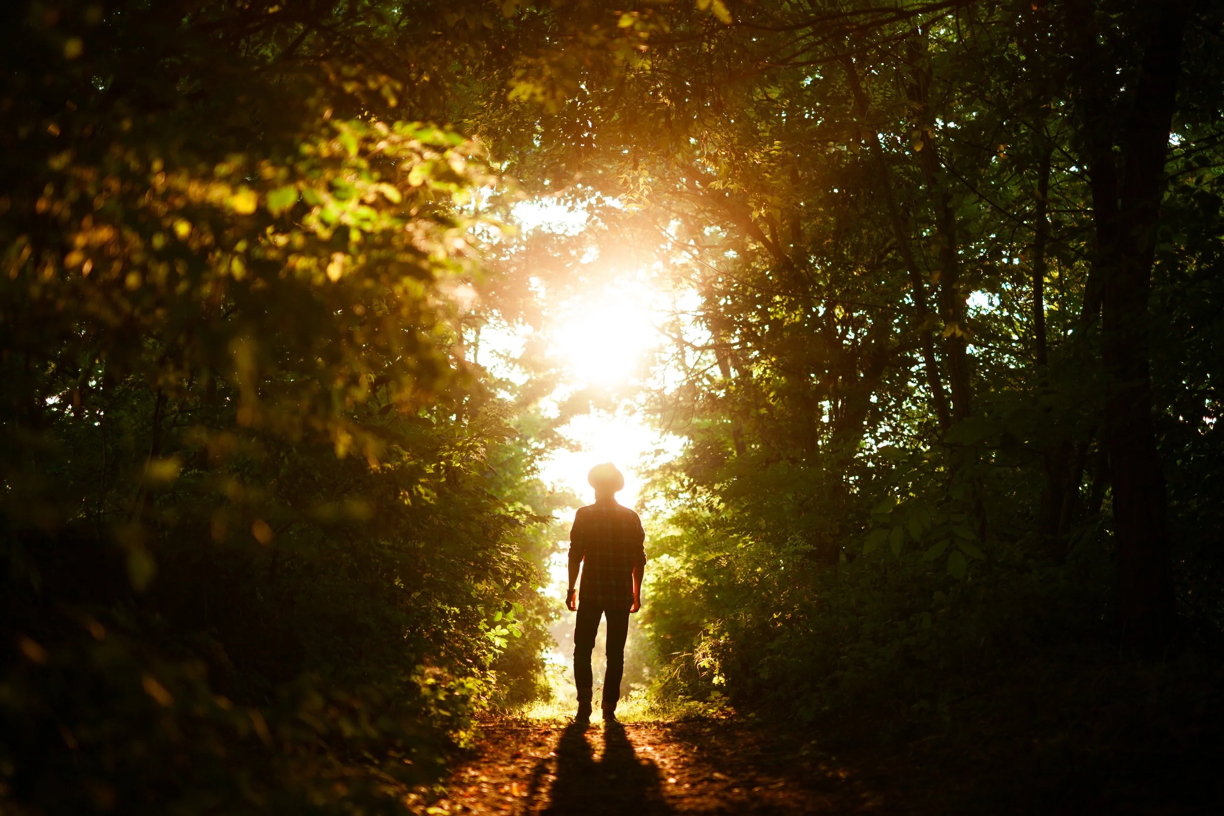 A person walking through a wooded forest at sunset with the sun shining through the trees creating a warm, golden glow.