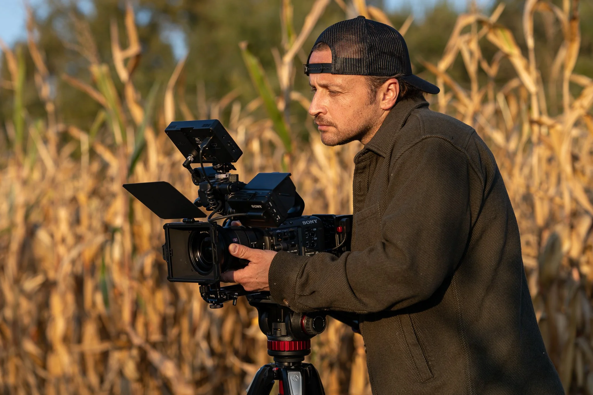 A man wearing a black cap and brown jacket operating a professional Sony video camera in a cornfield during golden hour