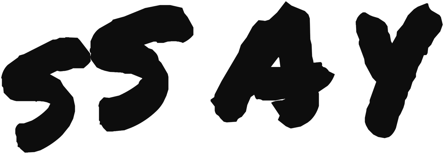SSAY Coalition