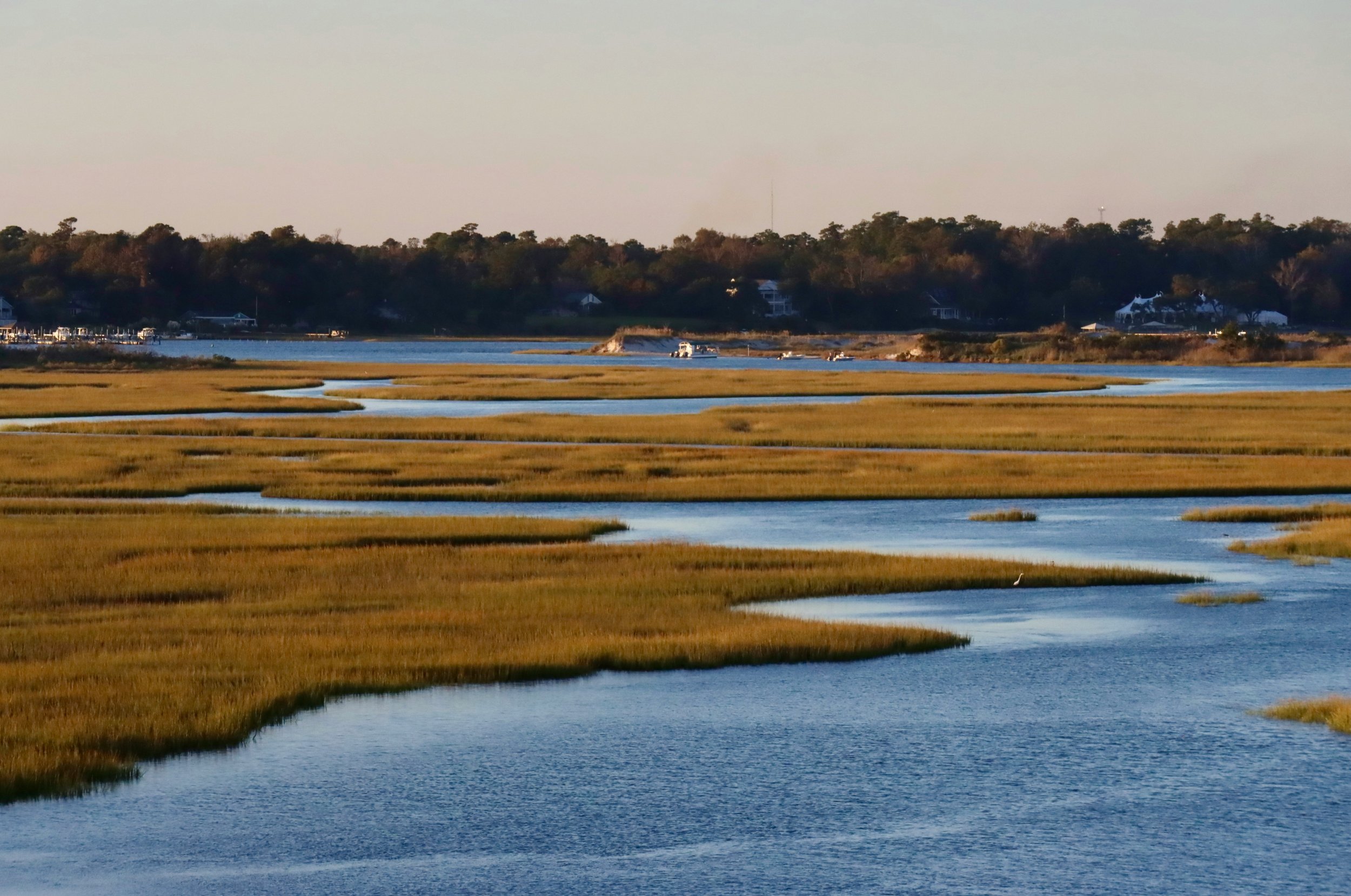 estuary with houses and bush in the distance