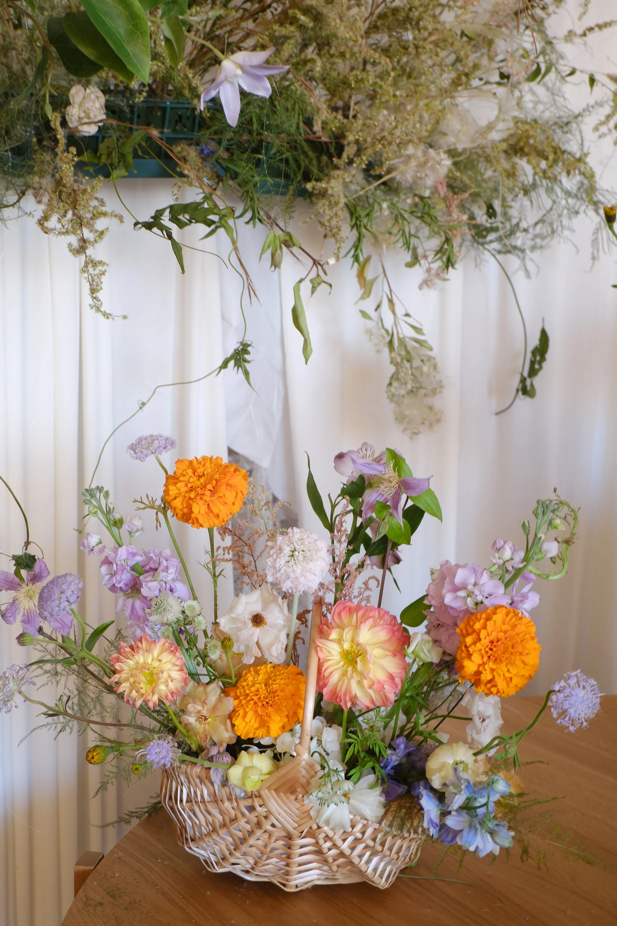 DSCF5916.JPG