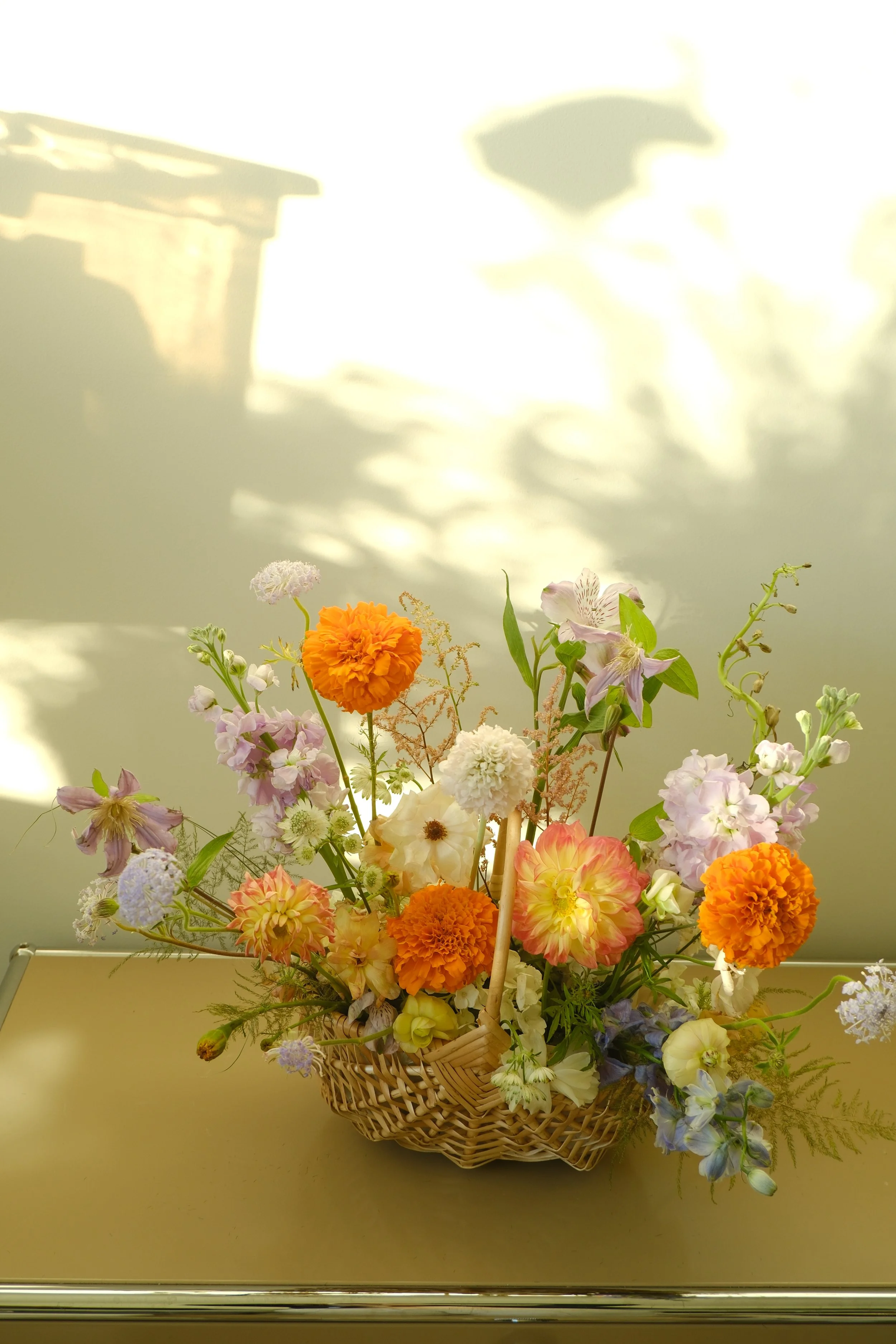 DSCF5882.JPG