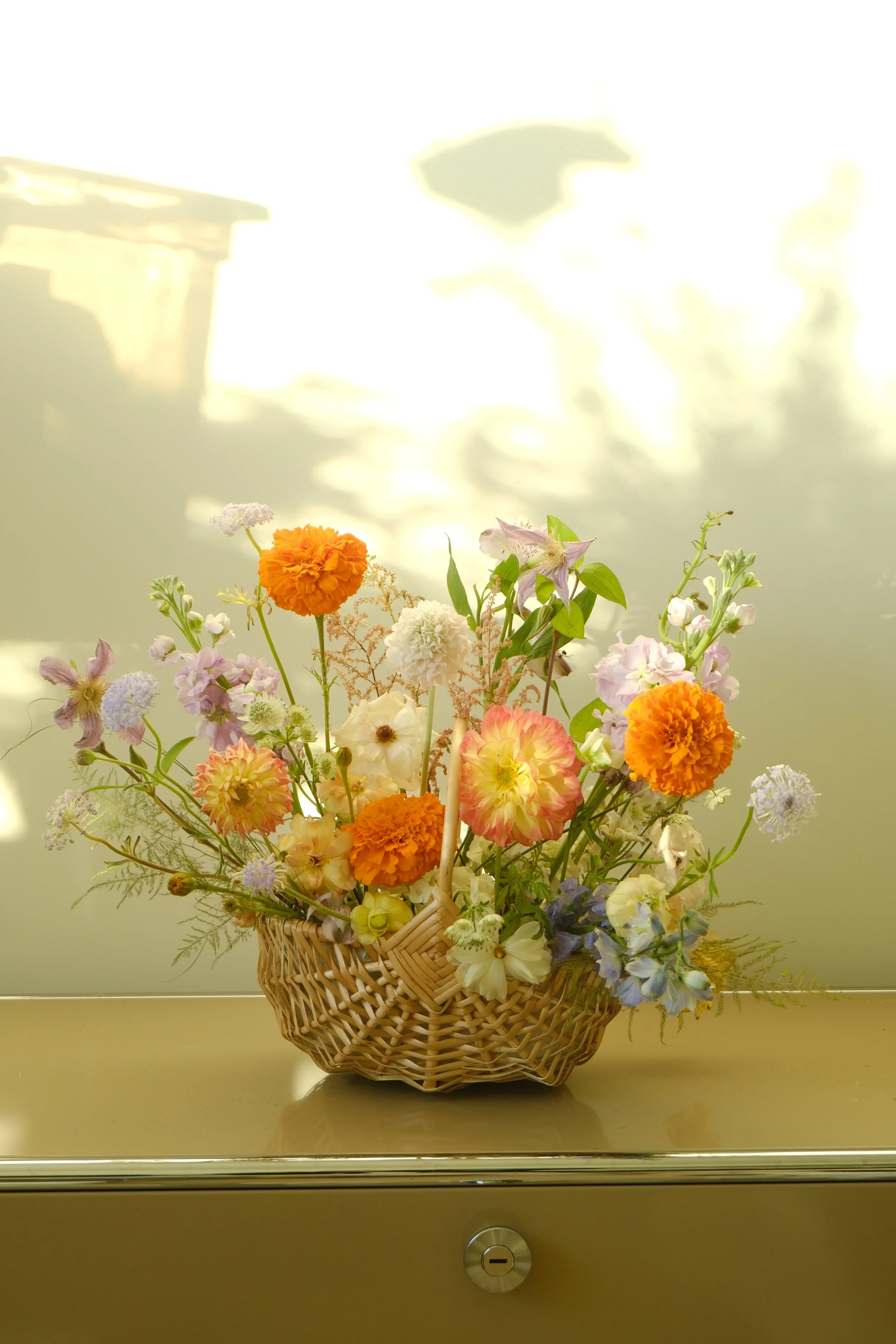 DSCF5888.JPG