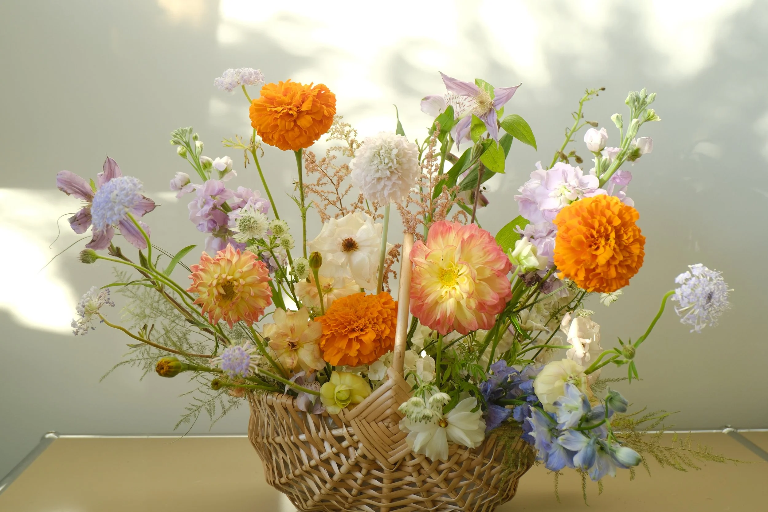 DSCF5874.JPG