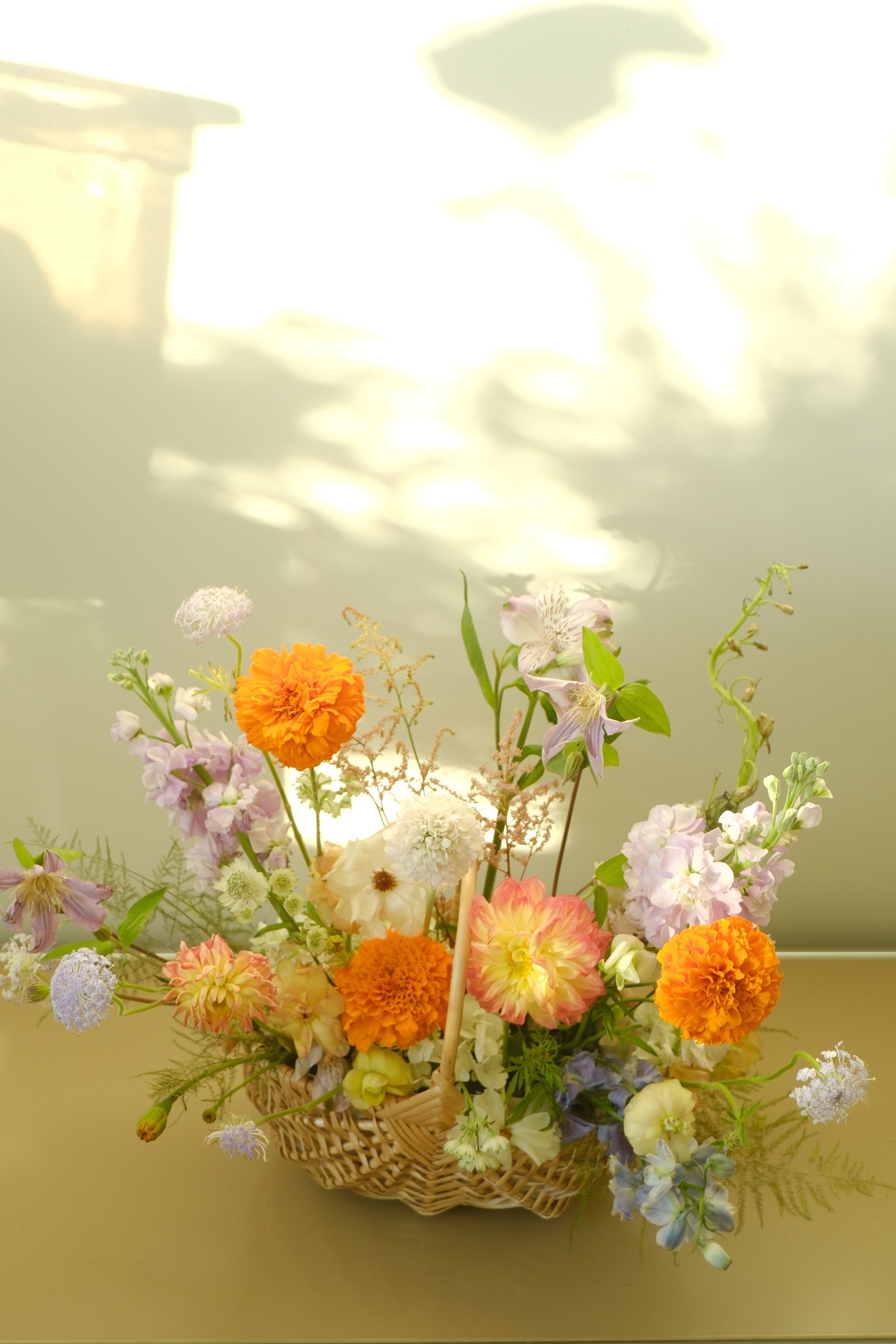 DSCF5883.JPG
