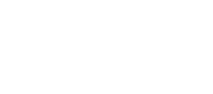 22 Company - XXII