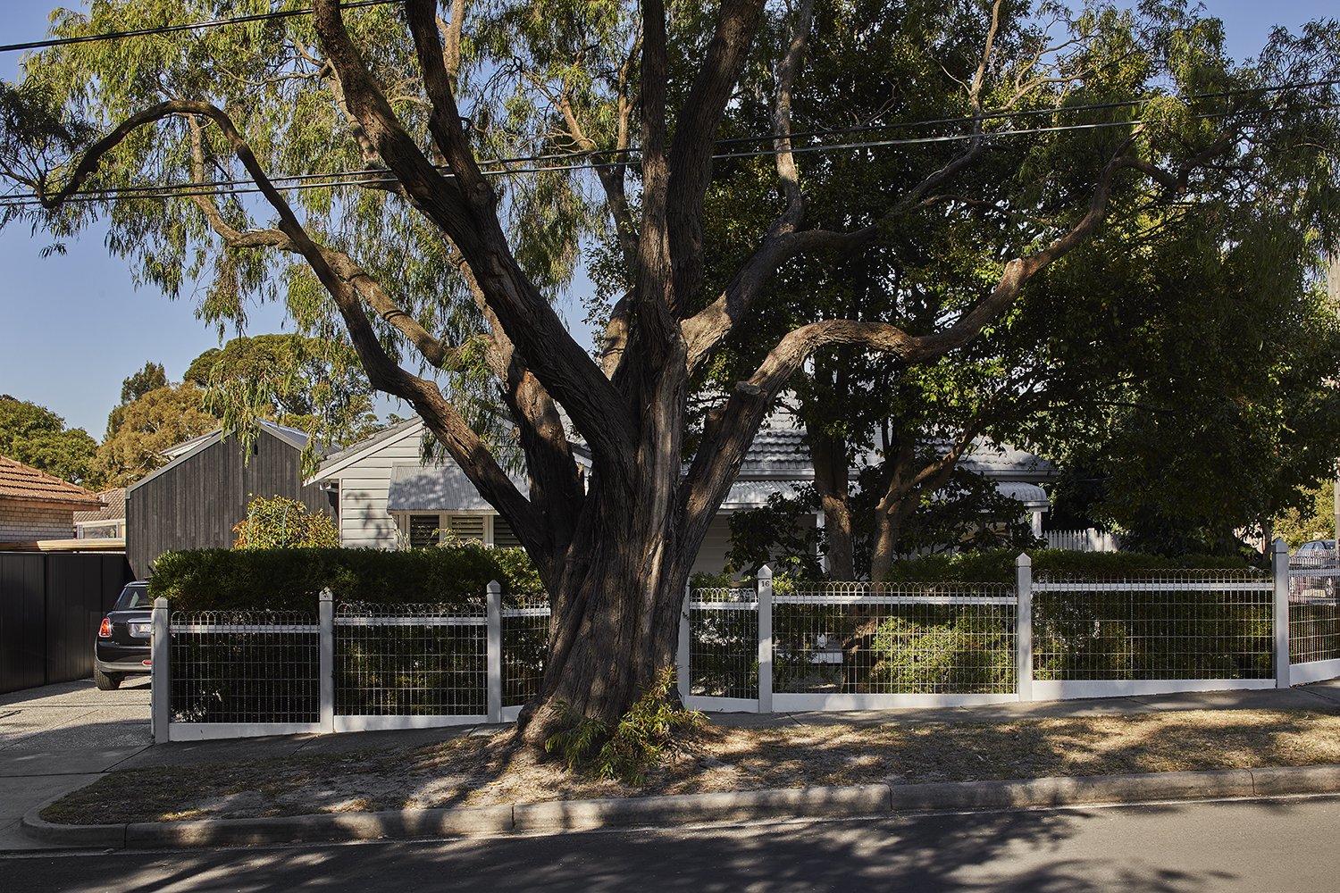 Shadow House