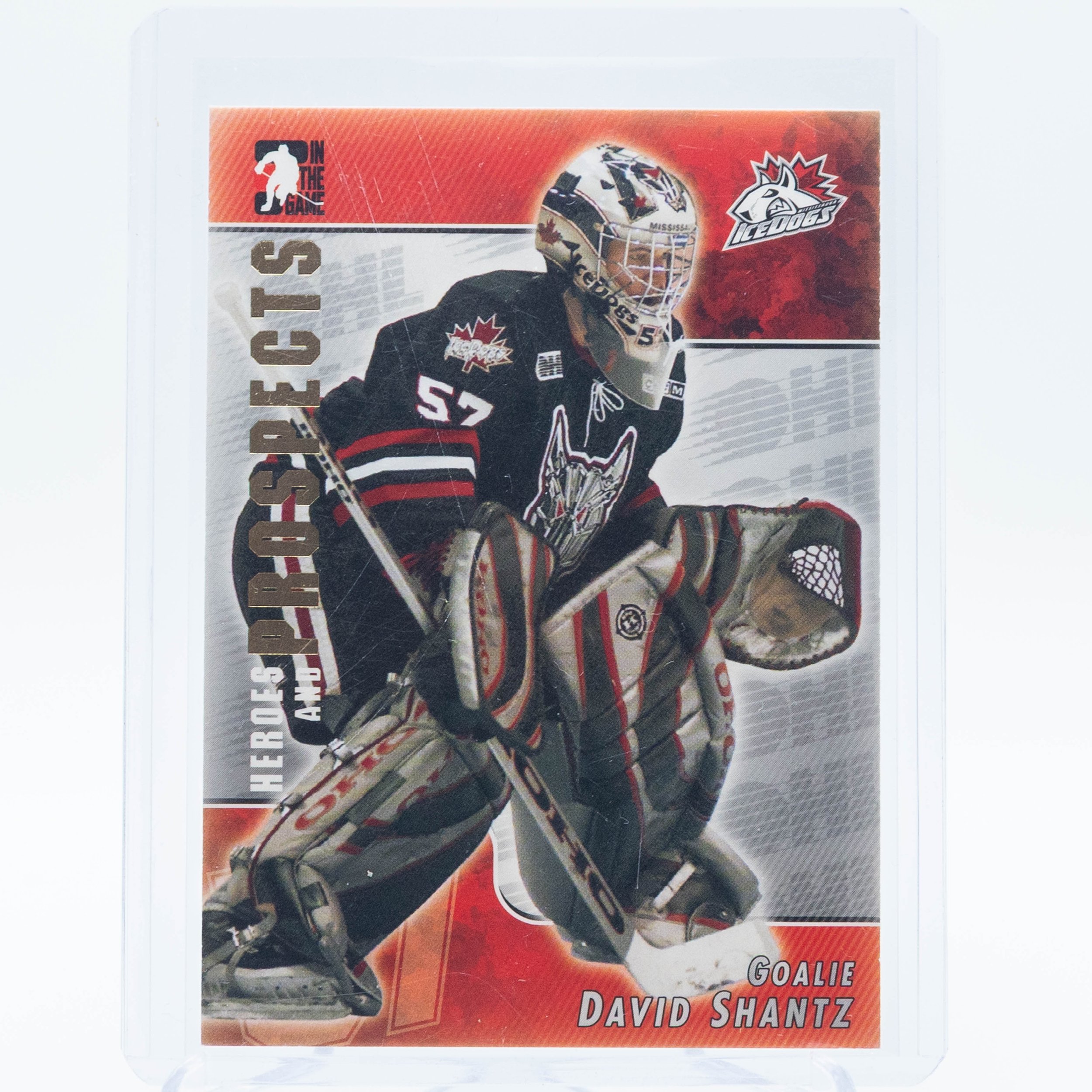 David Shantz 2005 BAP 