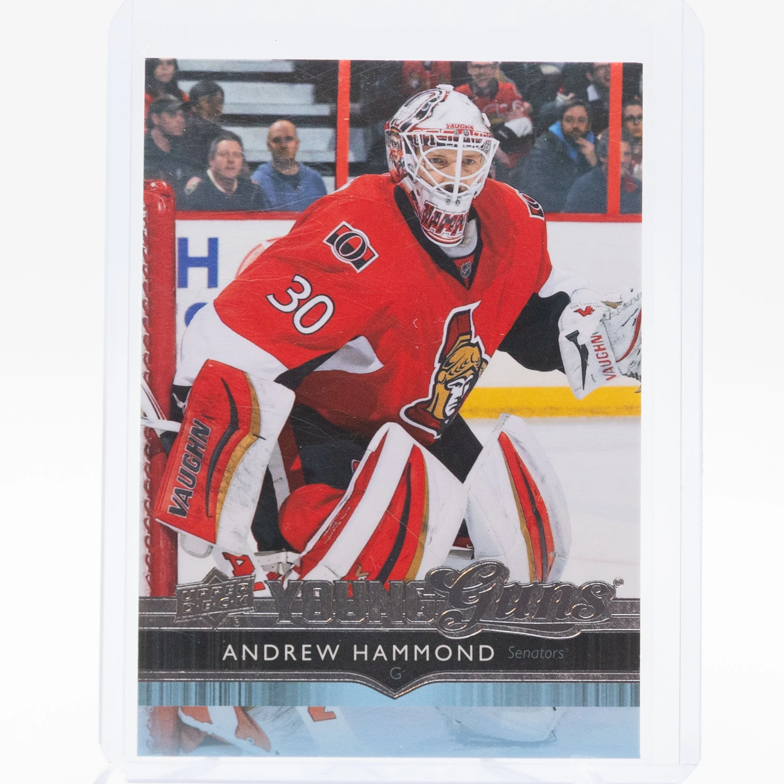 Andrew Hammond 2014 Young Guns