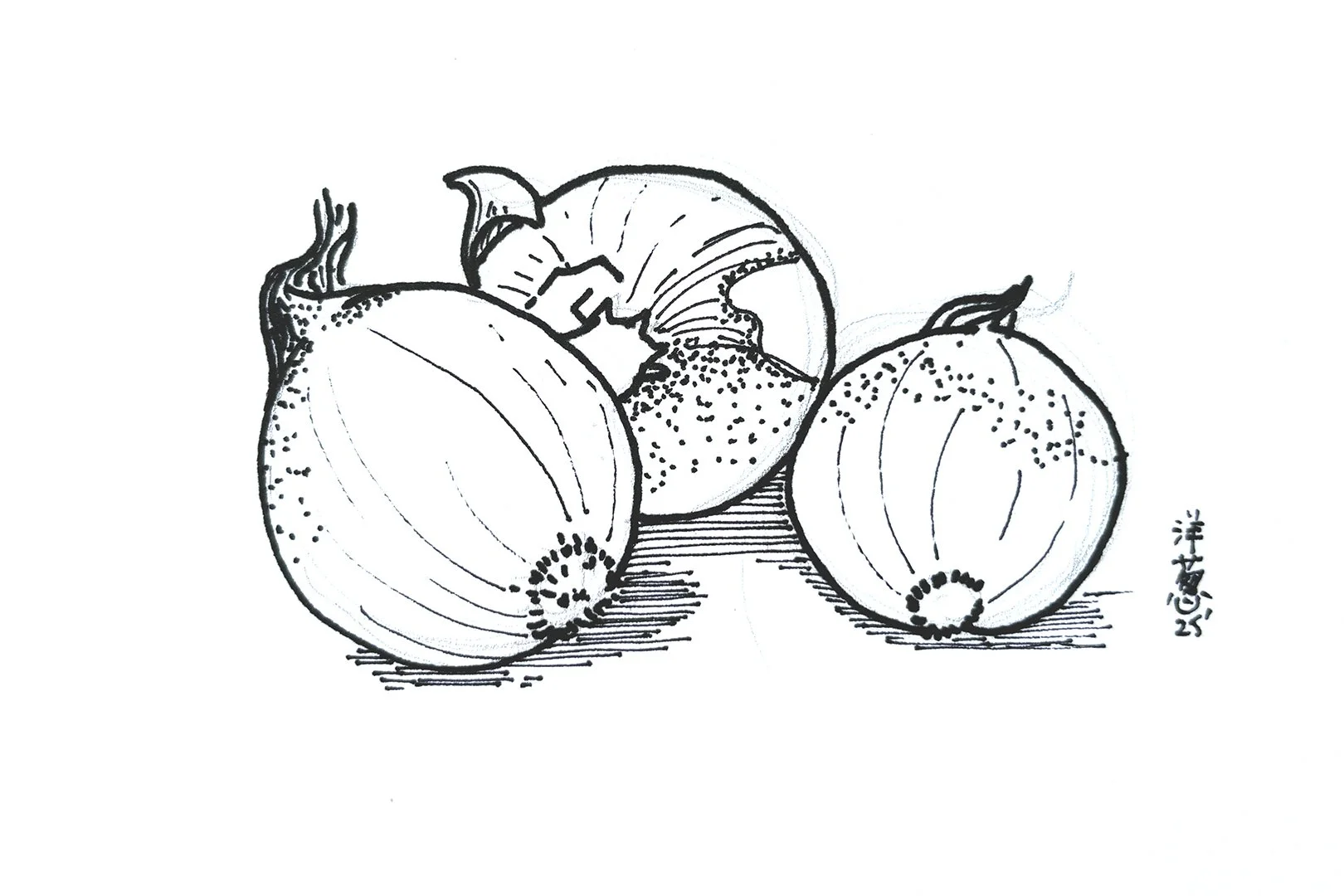 Still Life with Onions (2025)