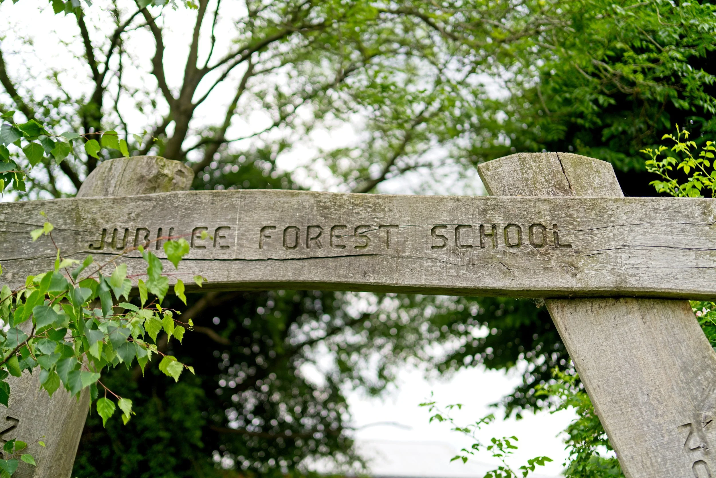 Forest School Entrance sign at Alcester Primary School Website Photography Photographer Warwickshire