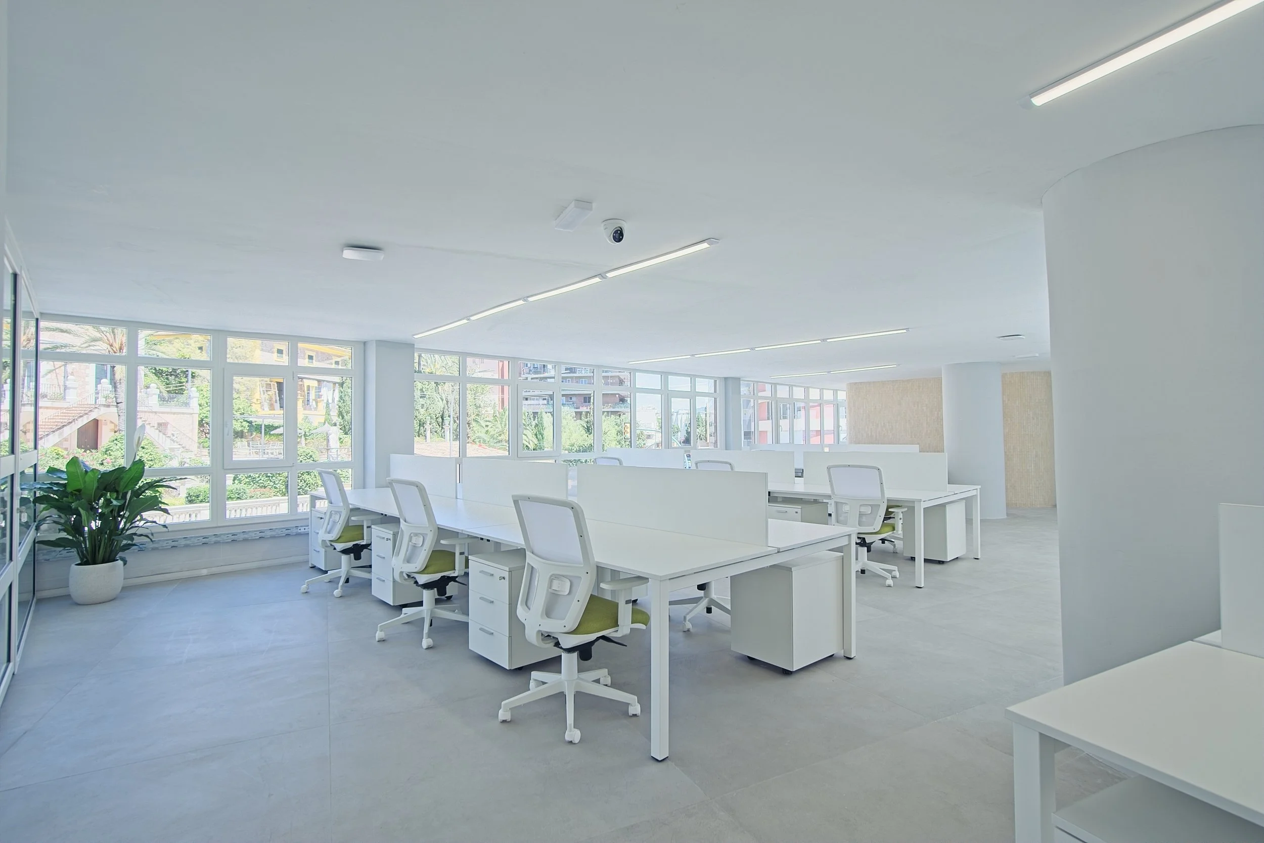 Modern, empty office with white desks and chairs, large windows, and a potted plant in the corner. Real Estate and corporate photography.