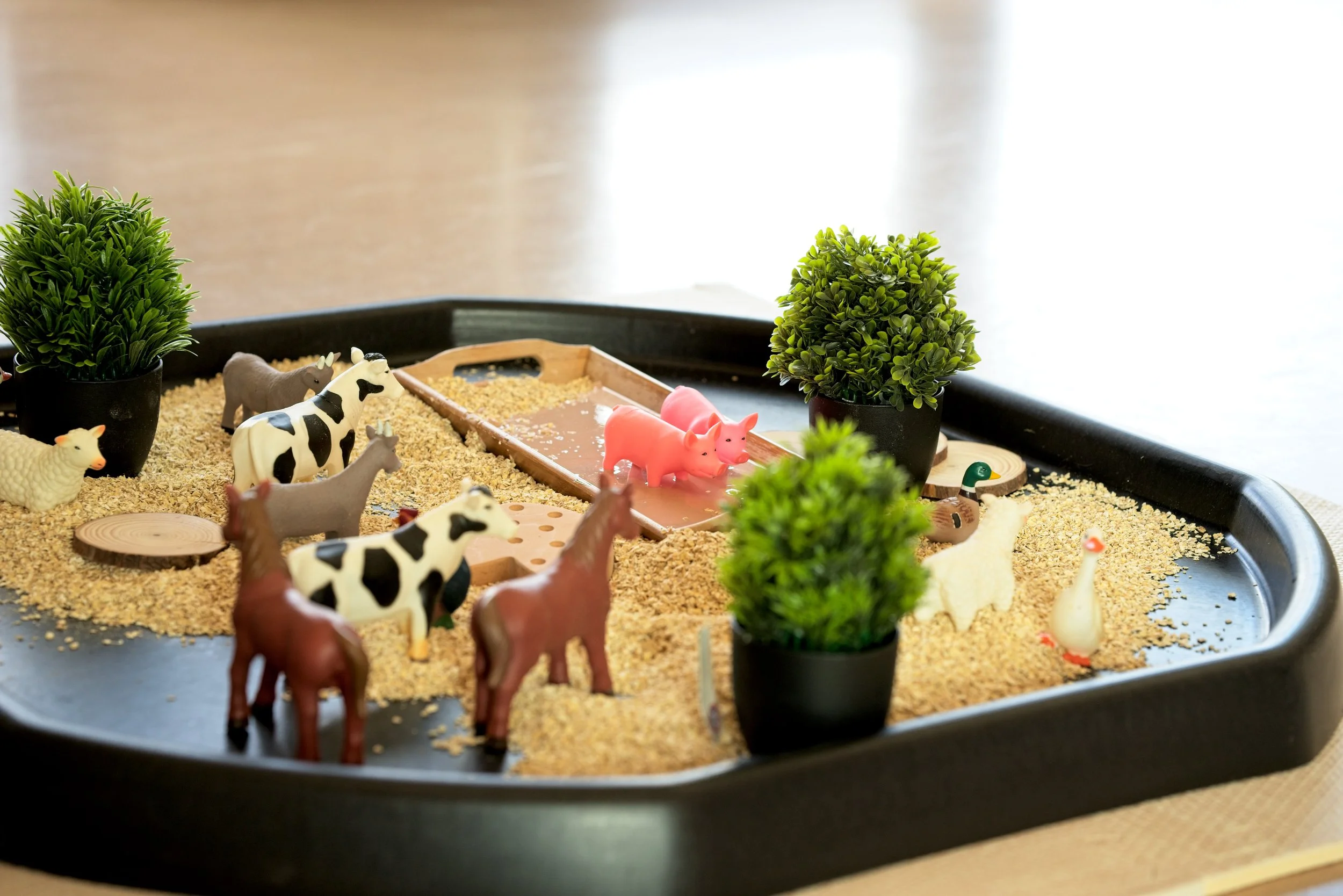 Miniature farm scene with plastic animal figurines, potted plants, and a sand-covered surface. Warwickshire branding photography.